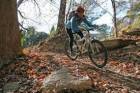 mountain bike nei boschi in Toscana